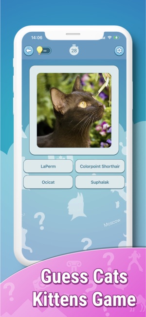 Jogos de Gatos e Gatas fofos::Appstore for Android