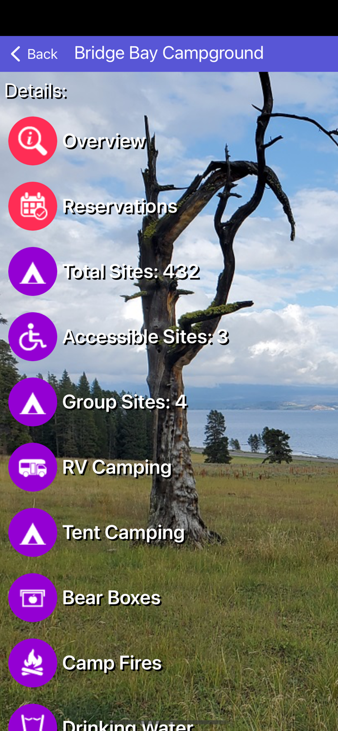 Yellowstone Natl Park Tour