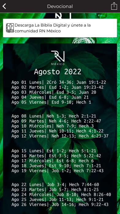 RN MEXICO Screenshot