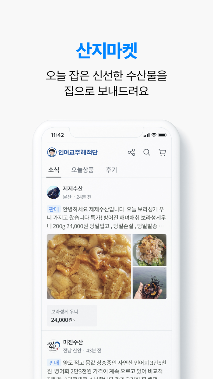 인어교주해적단