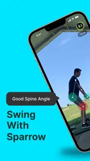 sparrow - golf problems & solutions and troubleshooting guide - 3