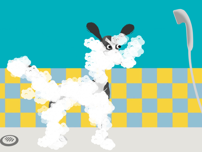 Tiki - Story about a dog