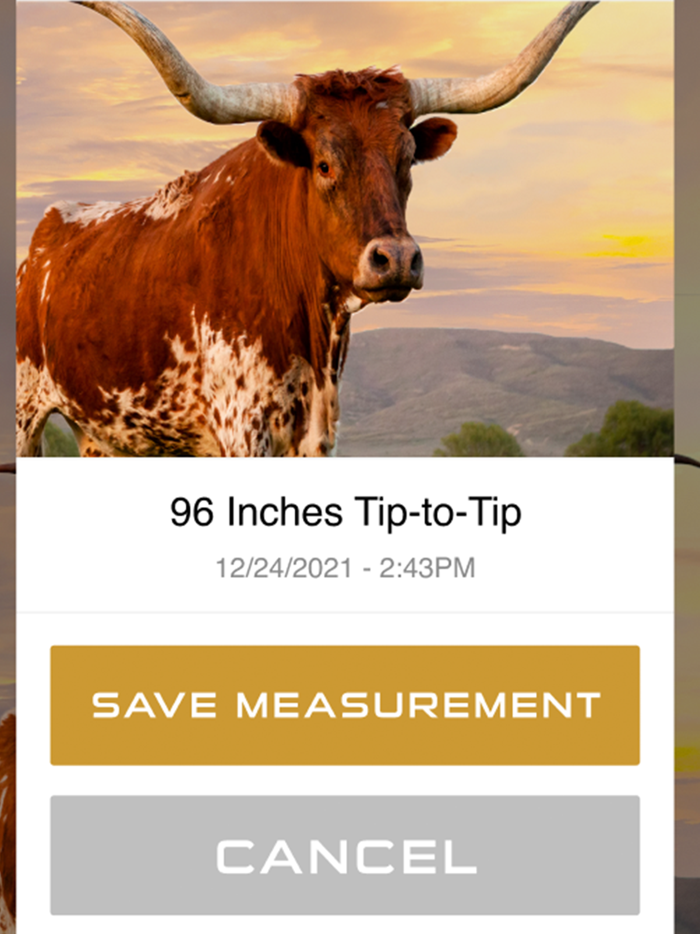 TTT Longhorn Tape Measure