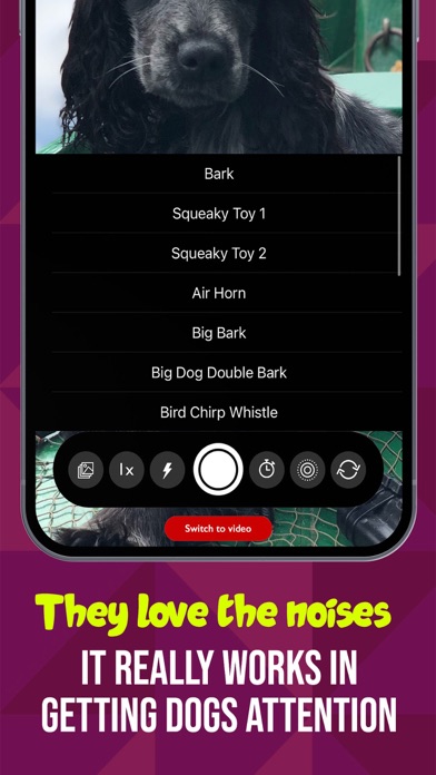 PetCam - Perfect Pet Portraits Screenshot