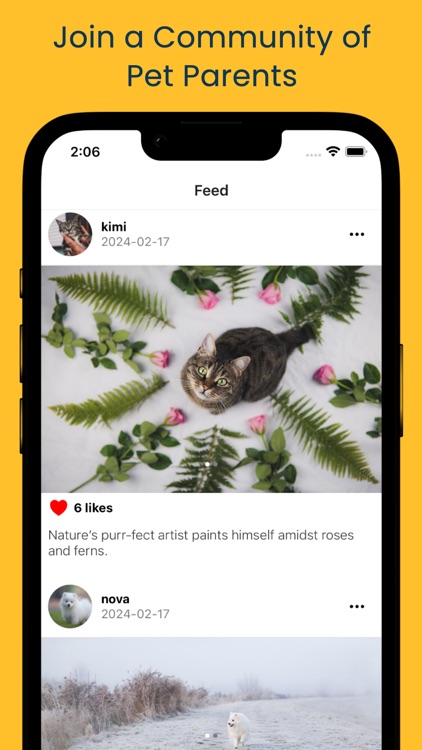 Petzzl - Pet Social Media