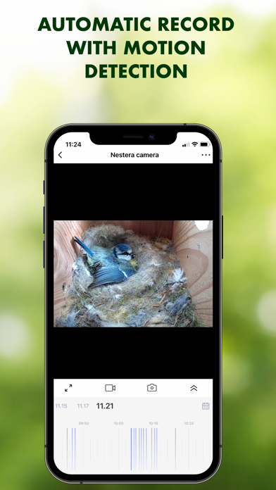 Nestera Bird Cam Screenshot