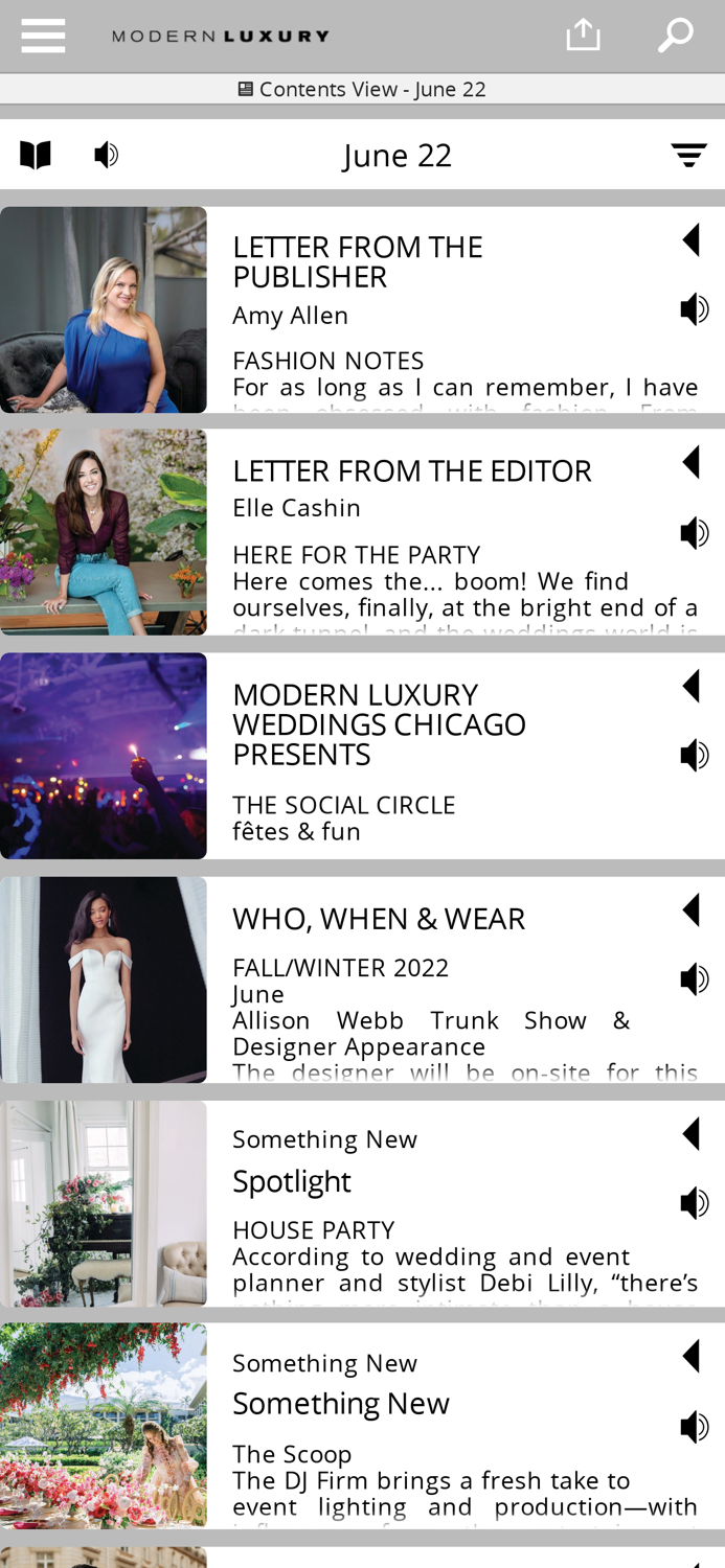 Modern Luxury Weddings Chicago