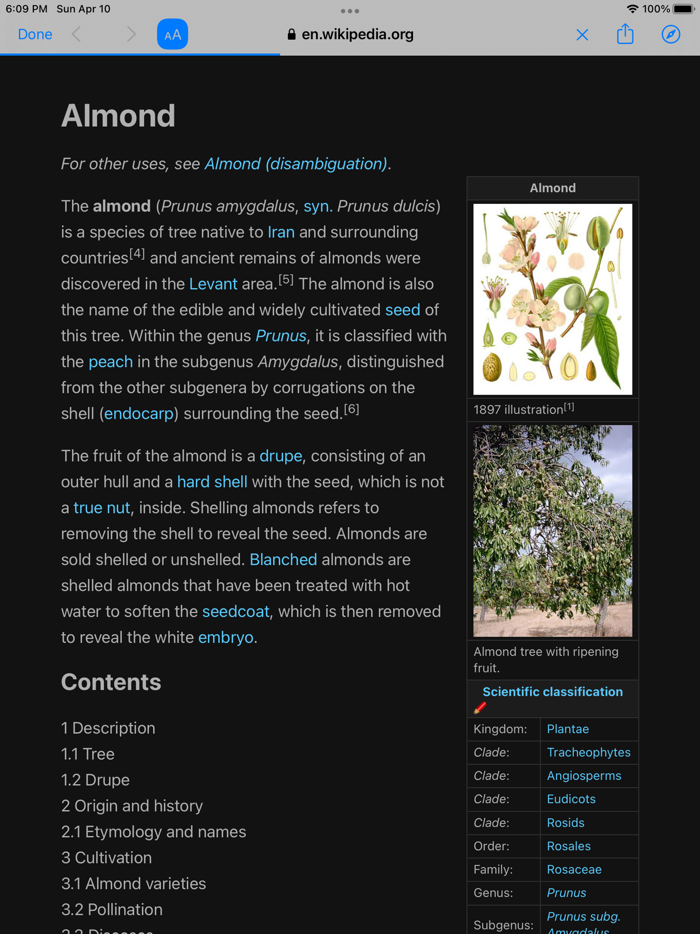 Nut Identifier Seed ID