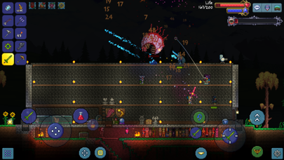 screenshot of Terraria 8