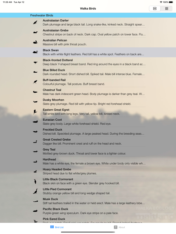 Screenshot #4 pour Walka Birds