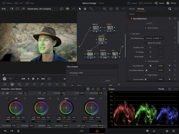 DaVinci Resolve for iPad