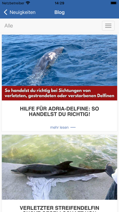 Adriadelfine Screenshot