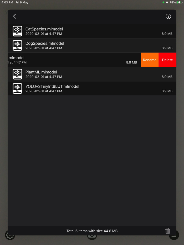 Object Detection Cam
