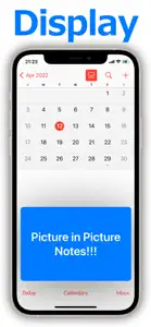Picture in Picture Notes - PiP screenshot #2 for iPhone