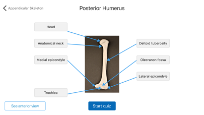 Anatomy Karma skeletal system Screenshot