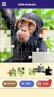 wild animals jigsaw puzzle iphone screenshot 4