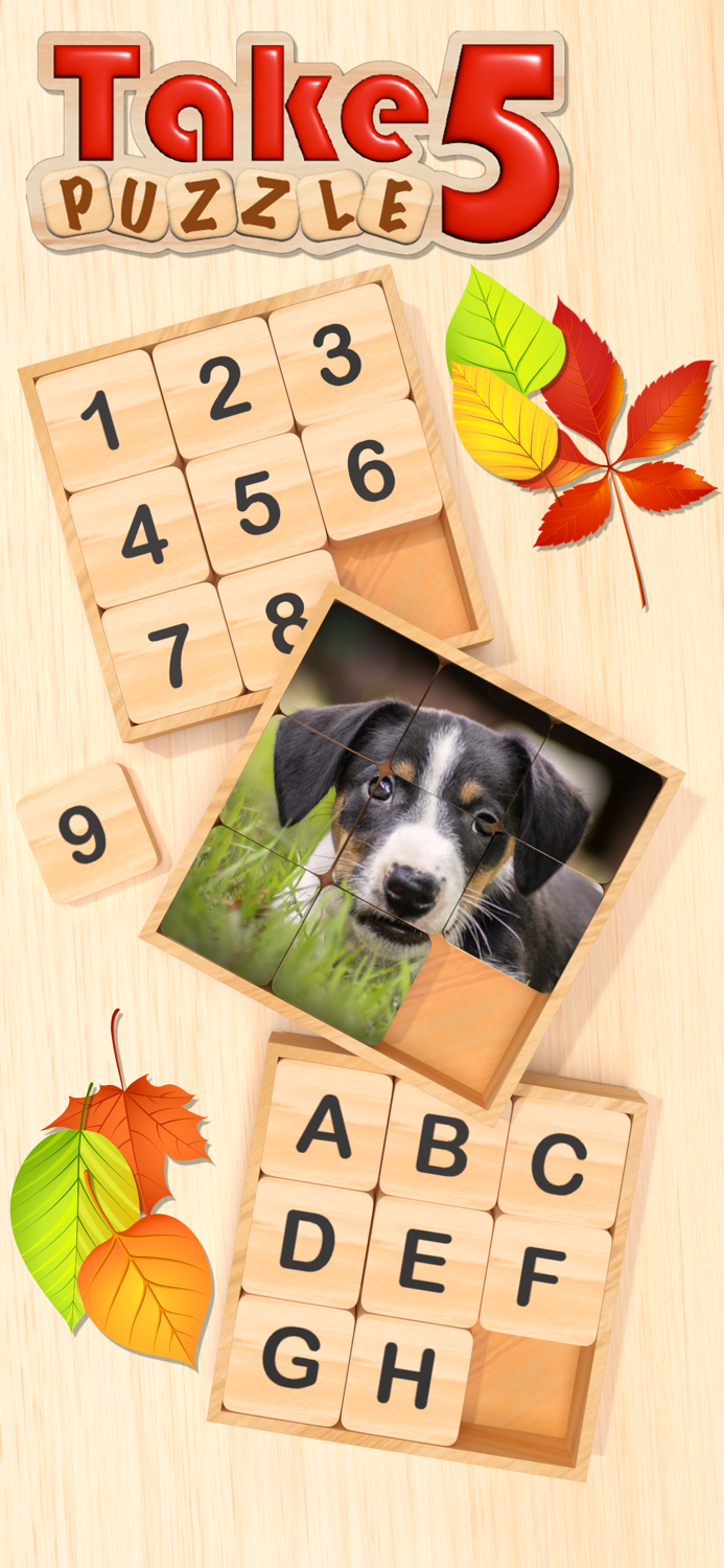 Take 5 Puzzle