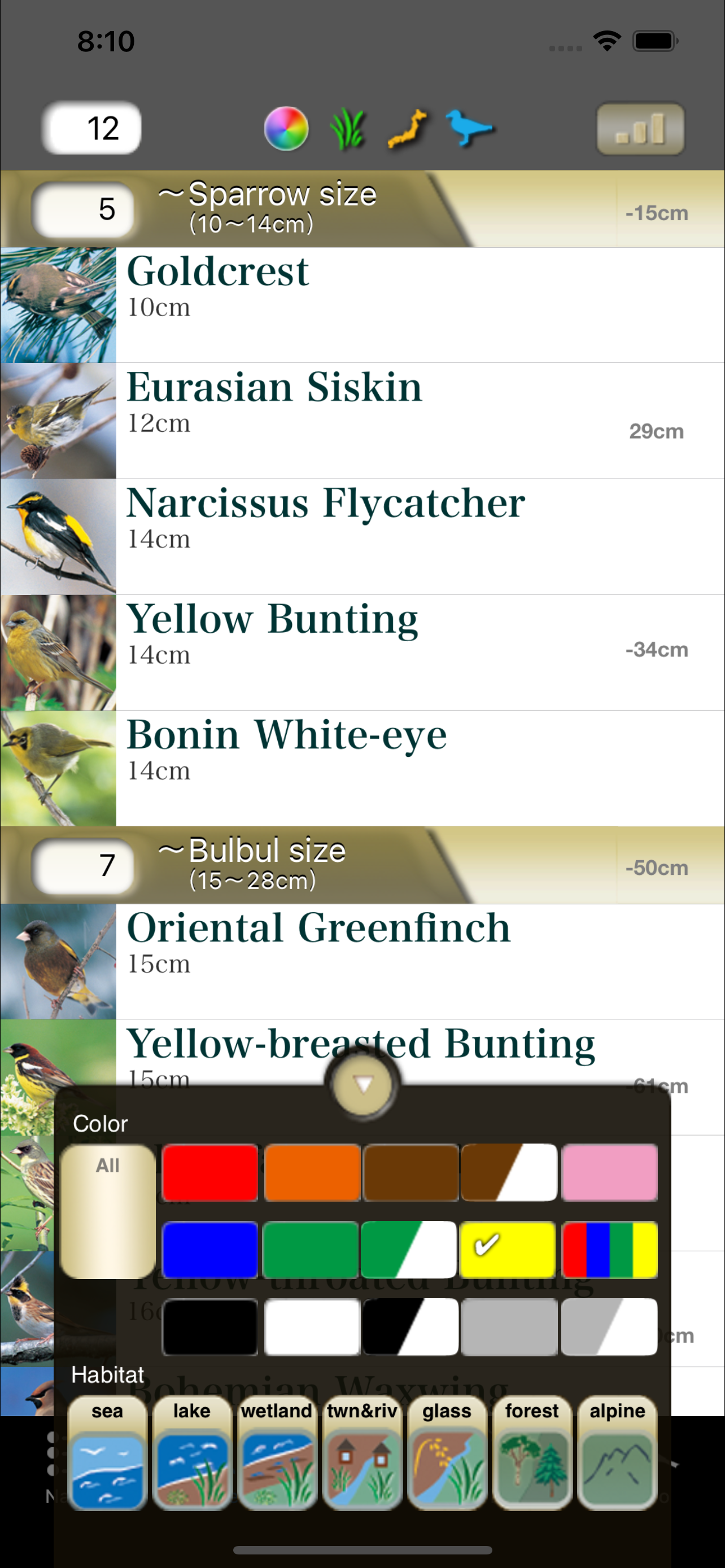 Japanese Birds