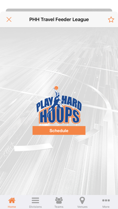 Play Hard Hoops Screenshot