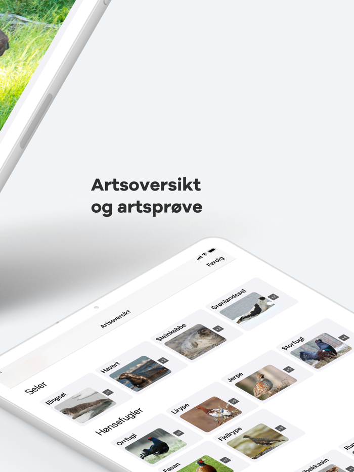 Jegerappen - bestå jegerprøven