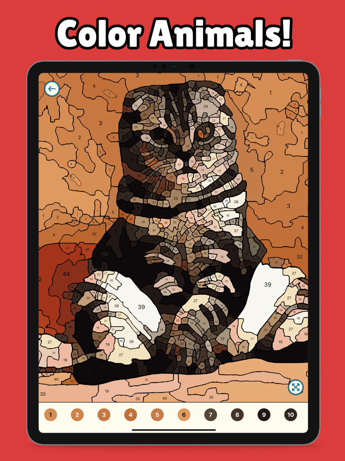 Mega Color - Paint by Number