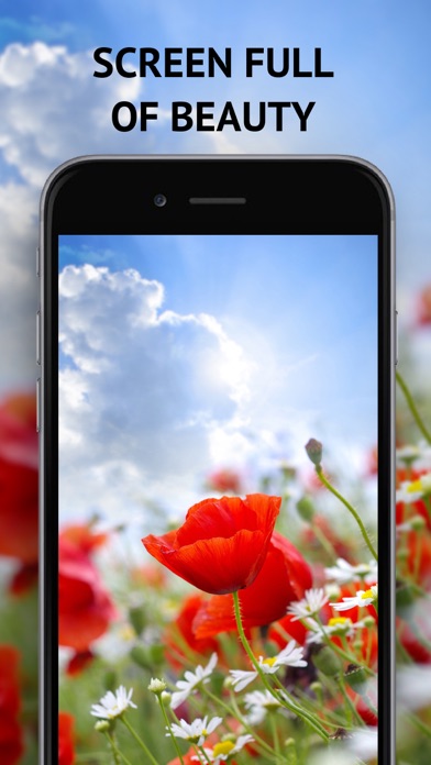 Best Wallpapers HD & Anime Screenshot