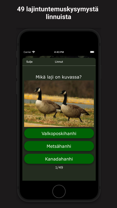 Metsästysvisa Screenshot