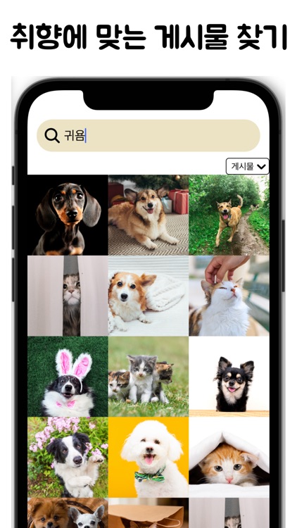 쏘큐티 - 귀여운 동물 SNS 커뮤니티