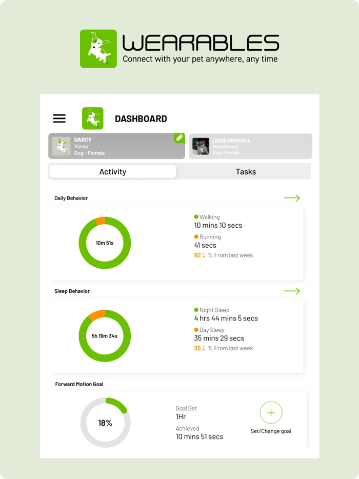 Wearables Activity Generation