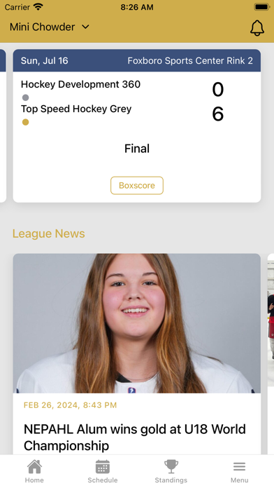 ProAm Hockey Screenshot