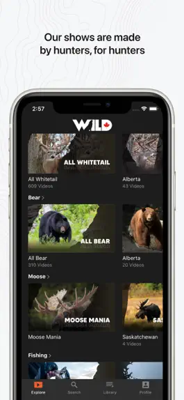 Game screenshot Wild TV hack