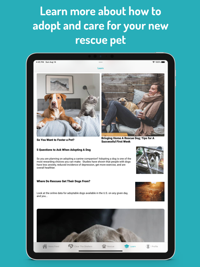 WeRescue – Adopt a Pet
