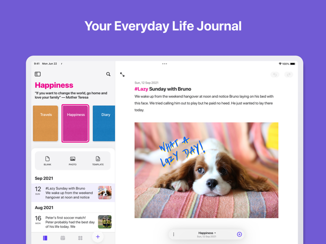 GoJournal: يوميات ولقطة شاشة مخطط