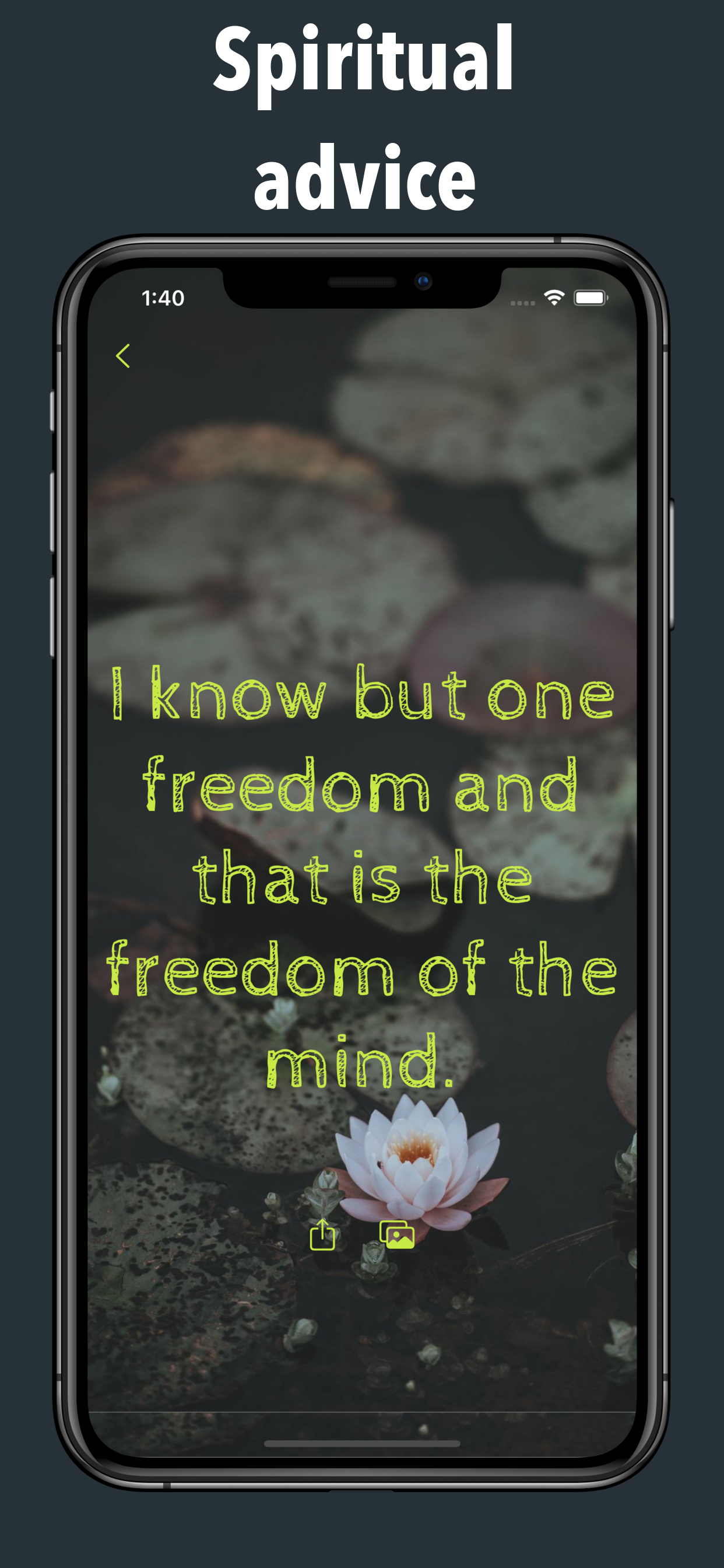 Love Quotes - Daily Reminders