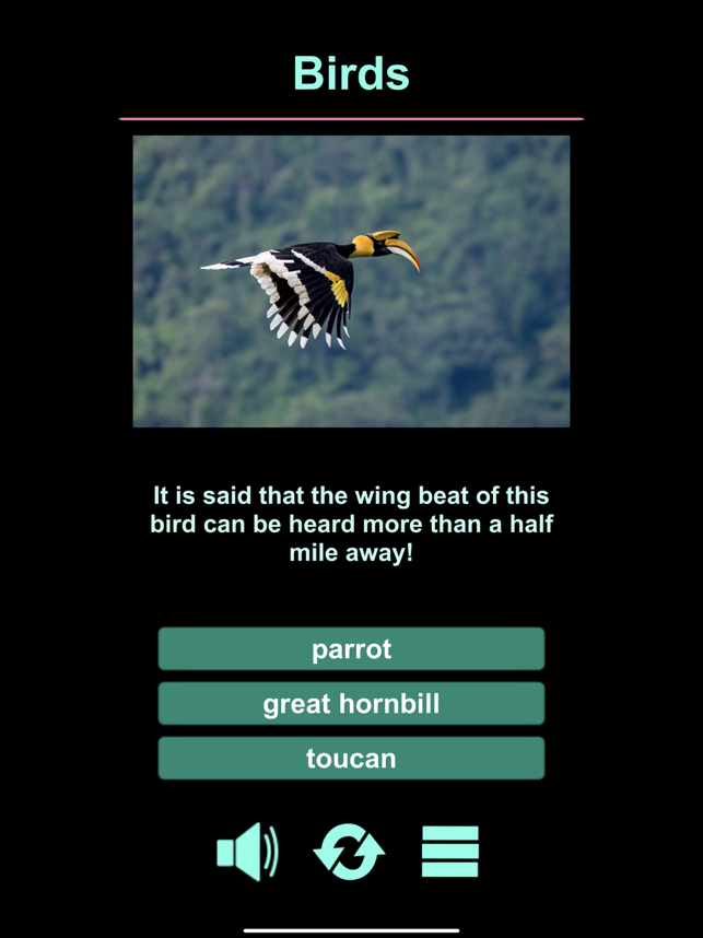 Screenshot ng Animal Taxonomy