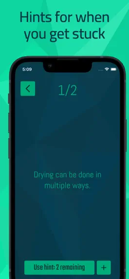 Game screenshot Riddler - The Riddle Game hack