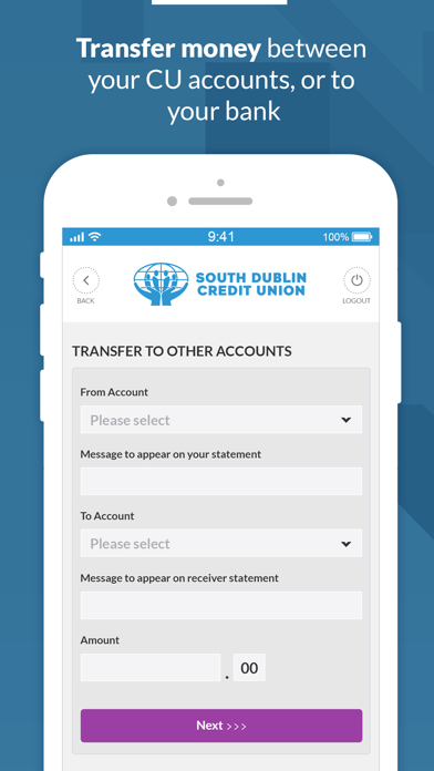 South Dublin Credit Union Screenshot