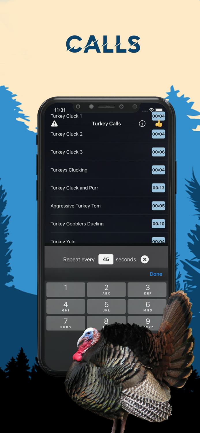 Turkey Magnet - Turkey Calls