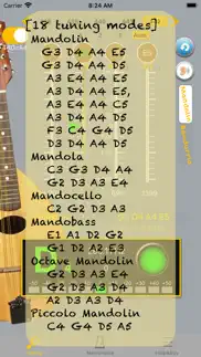 mandolintuner - tuner mandolin problems & solutions and troubleshooting guide - 2