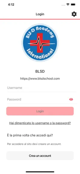 Game screenshot BLSD School apk