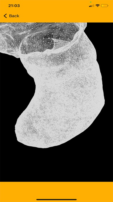 OrthoScan Screenshot