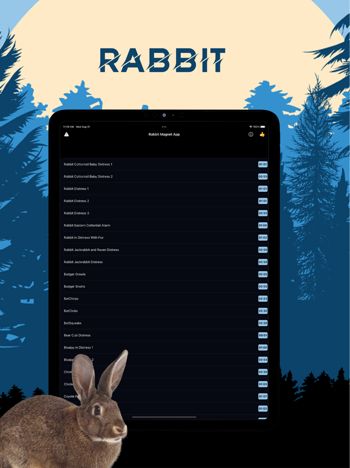 Rabbit Magnet - Rabbit Sounds