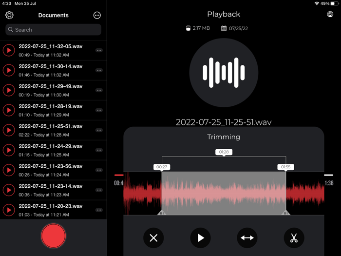 Audio Recorder and Voice Editor