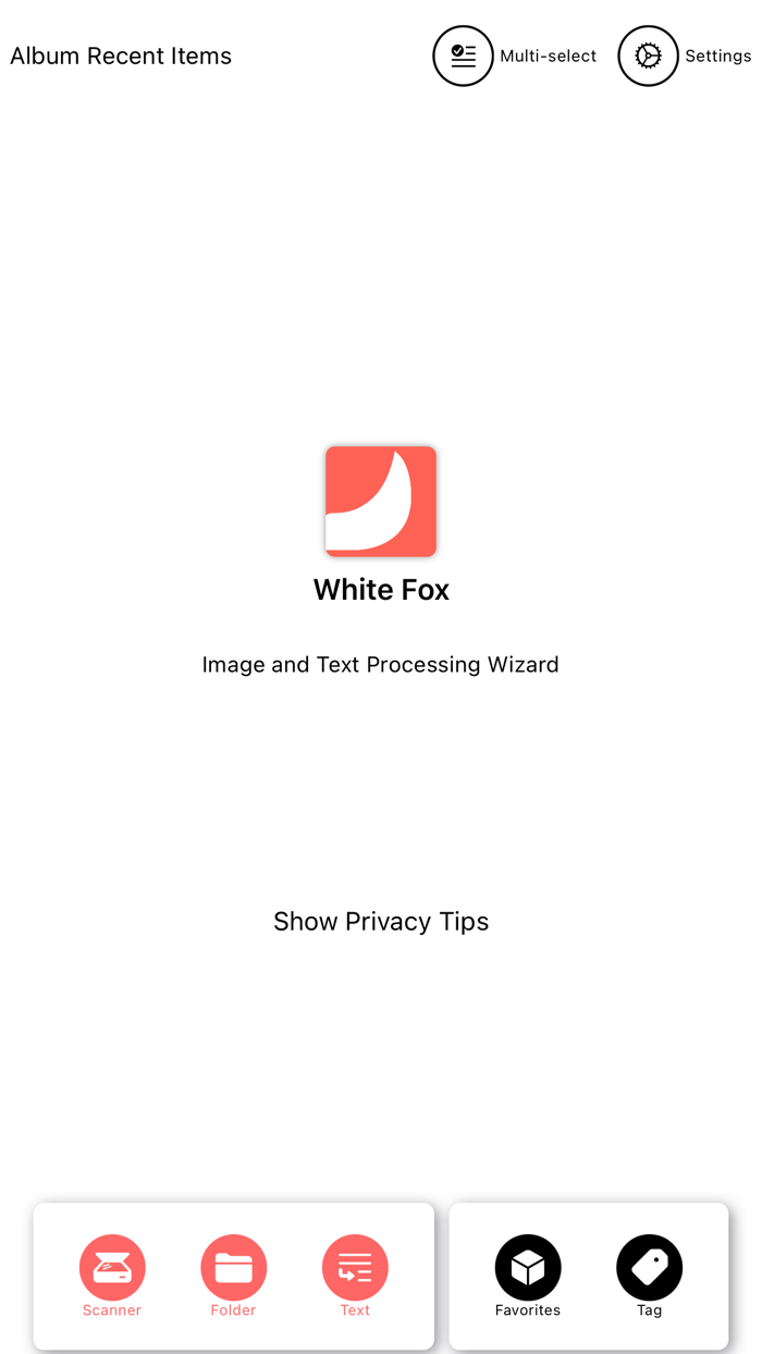 White Fox - Image and Text AI