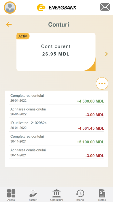 Energbank Mobile Screenshot