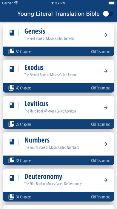YLT Bible  - Saddle Lights Screenshot