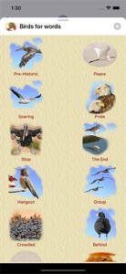Birds for Words for iMessage screenshot #4 for iPhone