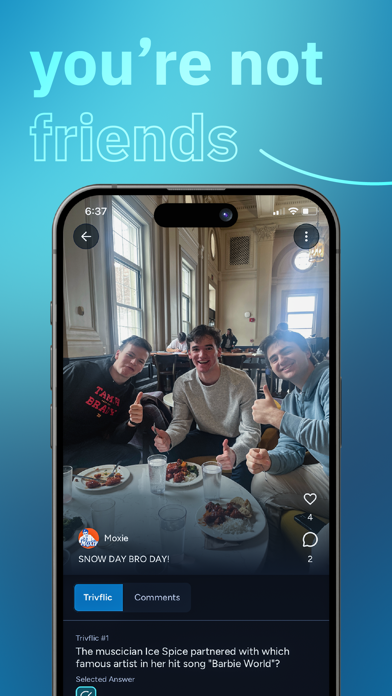 Trivflic Screenshot