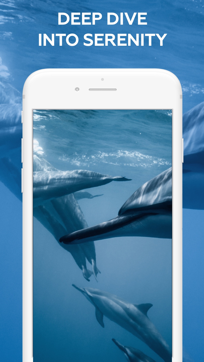 Pulse Monitor Instant HR Check