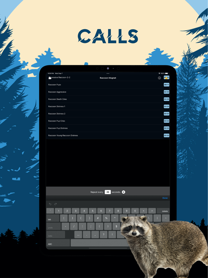 Raccoon Magnet–Raccoon Sounds